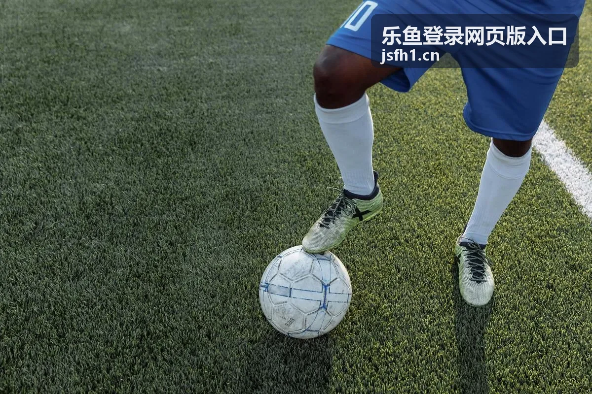 乐鱼登录网页版入口 平台界面展示