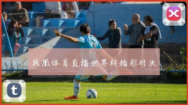 凤凰体育直播世界杯精彩对决