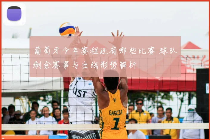 葡萄牙今年赛程还有哪些比赛 球队剩余赛事与出线形势解析